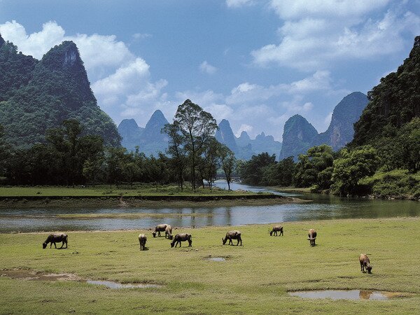 Diversión en campo de Yangshuo